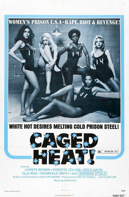 Caged Heat 01 Poster Canvas Movie Film Print A0 A1 A2 A3 A4 A5 A6 Art Wall Decor